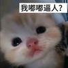 失眠雨夜