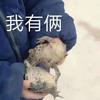 白蛇传奇攻略