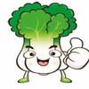 淮安白菜新能源
