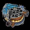 蓝色墨点A猫（斗鱼，雷龙鱼水族工作室）