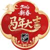 NHL北美职业冰球联赛