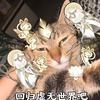 飒气咪姐