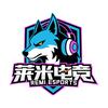 莱米电竞（缺pc高玩）