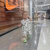 可乐成长记