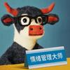 万能的小韩