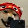 张胡说