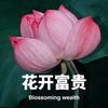 花开富贵佛缘善心