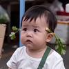 小胖墩日常
