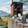 养鸽人～宋敏