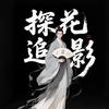 探花追影