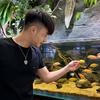 吴大嘴聊养鱼