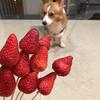 筷莱錡鍇斩马谡夺郝