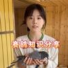 我是赛鸽小王