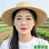植保赵老师