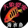 大象爱宠-海水鱼馆