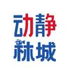 动静林城