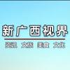 八桂新视界