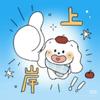 山师虾仁学姐🍤（迎新版）