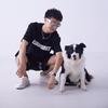 边牧RR-小叔