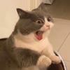 猎奇呦戏