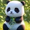张熊猫