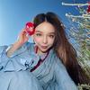 美殿大匡琳