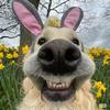 Breaking   小葵花。 🌻