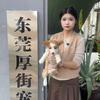 东莞永安犬舍