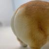 谁曾想呢