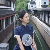 带电贾砖家