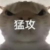 鼠鼠