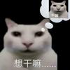 AAA-好果汁批发