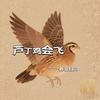 芦丁鸡会飞