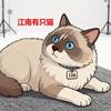 江南有只猫