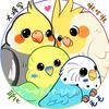 毛毛也没办法🐥