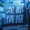 龙都情报官