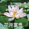 菲宝甄选个护好物仓