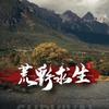 荒野求生看小黑