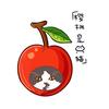 樱桃是只猫🍒