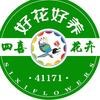 四喜叶哥（鲜花行情）