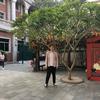 沈阳数学杨老师