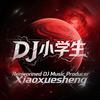 DJ小学生