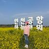 A翠花在韩国
