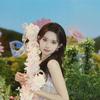 一只小菜菜*
