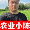 新农人小陈（商品在橱窗）