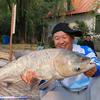贾东普钓大鱼