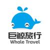 巨鲸旅行