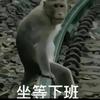 我在武汉当NPC的日子