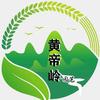 黄帝岭园艺