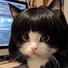 Dota2朵猫猫